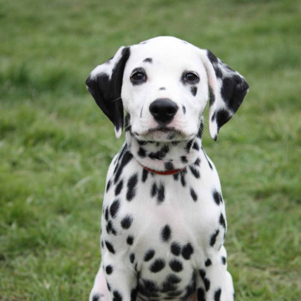 Meet your Posher, Mitchell